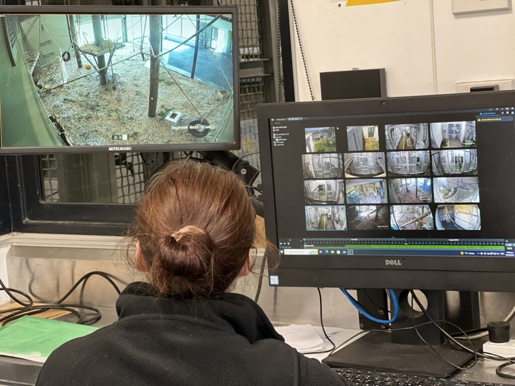 GAC keeper area camera screens