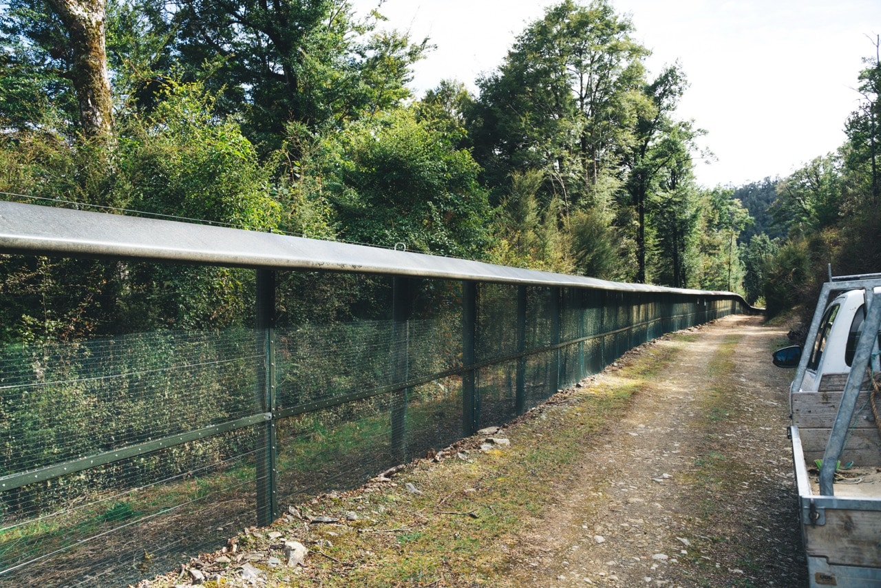 Sanctuary predator-proof fenceline